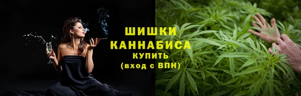 прущие грибы Абаза
