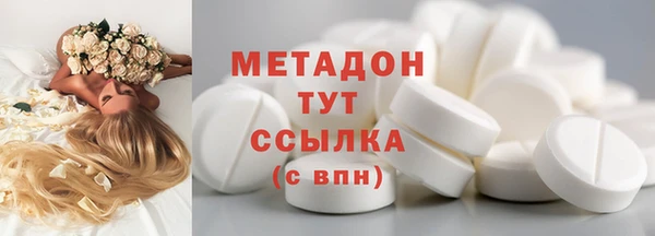 прущие грибы Абаза