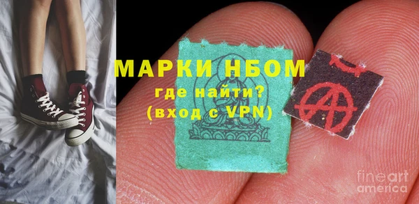 прущие грибы Абаза