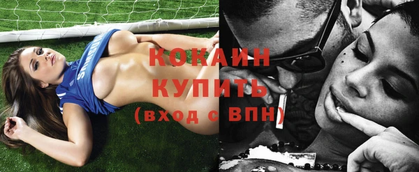 прущие грибы Абаза