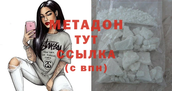индика Алексин