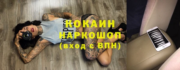 прущие грибы Абаза