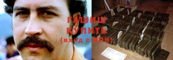 прущие грибы Абаза