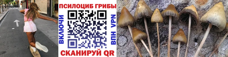 цена   Пудож  Псилоцибиновые грибы MAGIC MUSHROOMS 