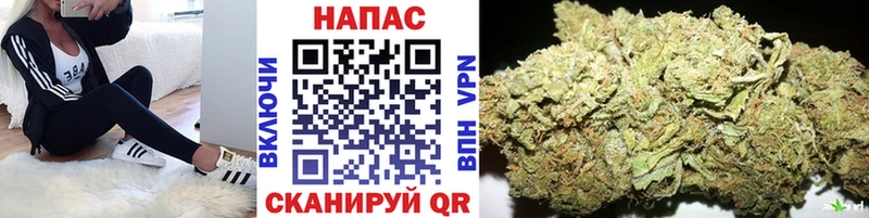 Конопля THC 21%  закладки  Пудож 